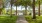 a path through a park
