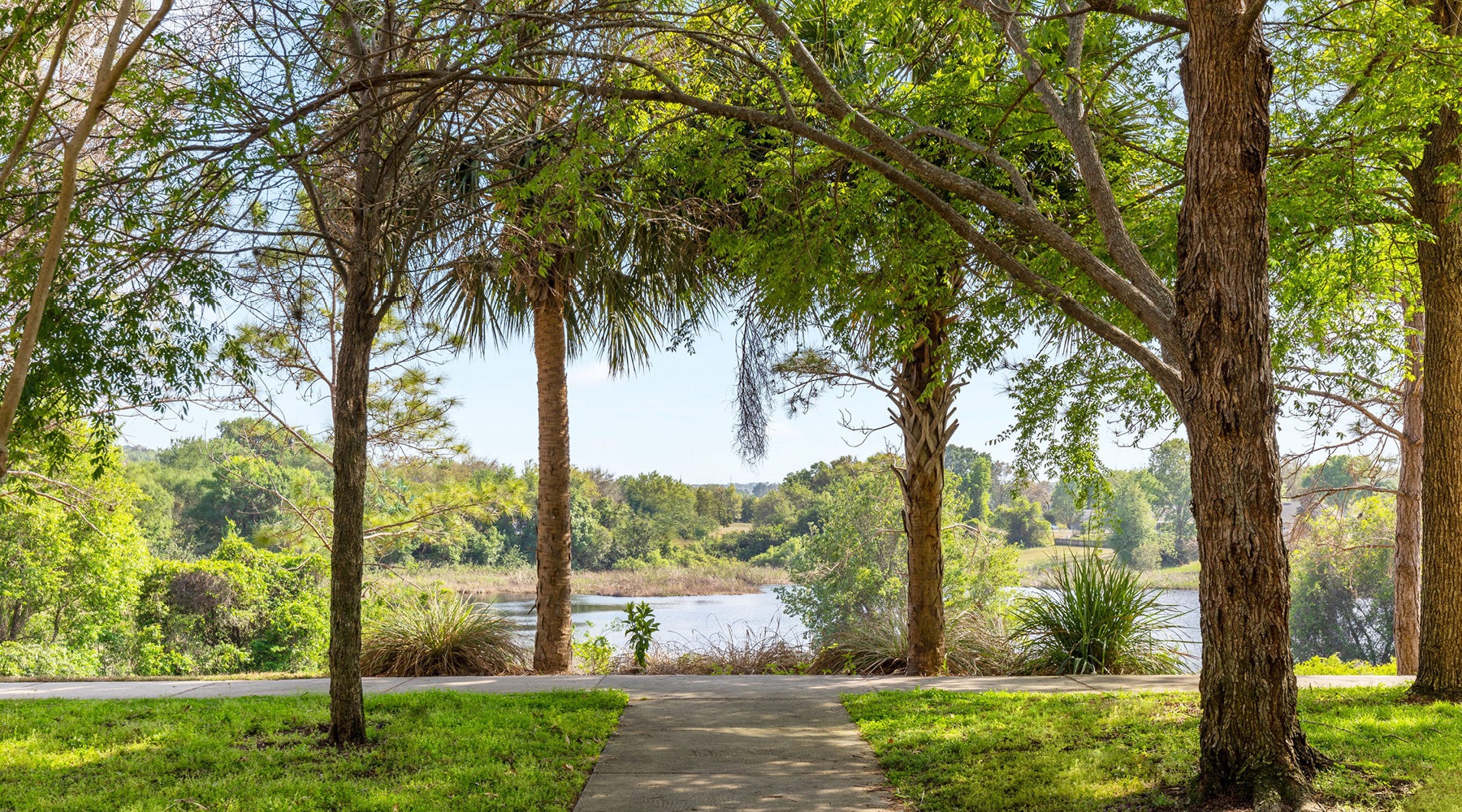 The essence of exceptional living a sidewalk through trees