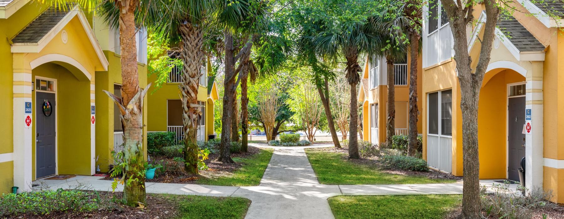 a street with palm trees and buildings